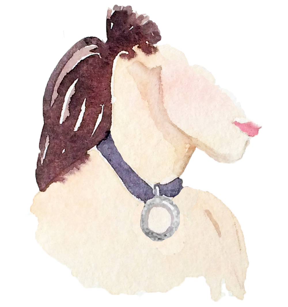 What It Actually Means To Be Collared in BDSM