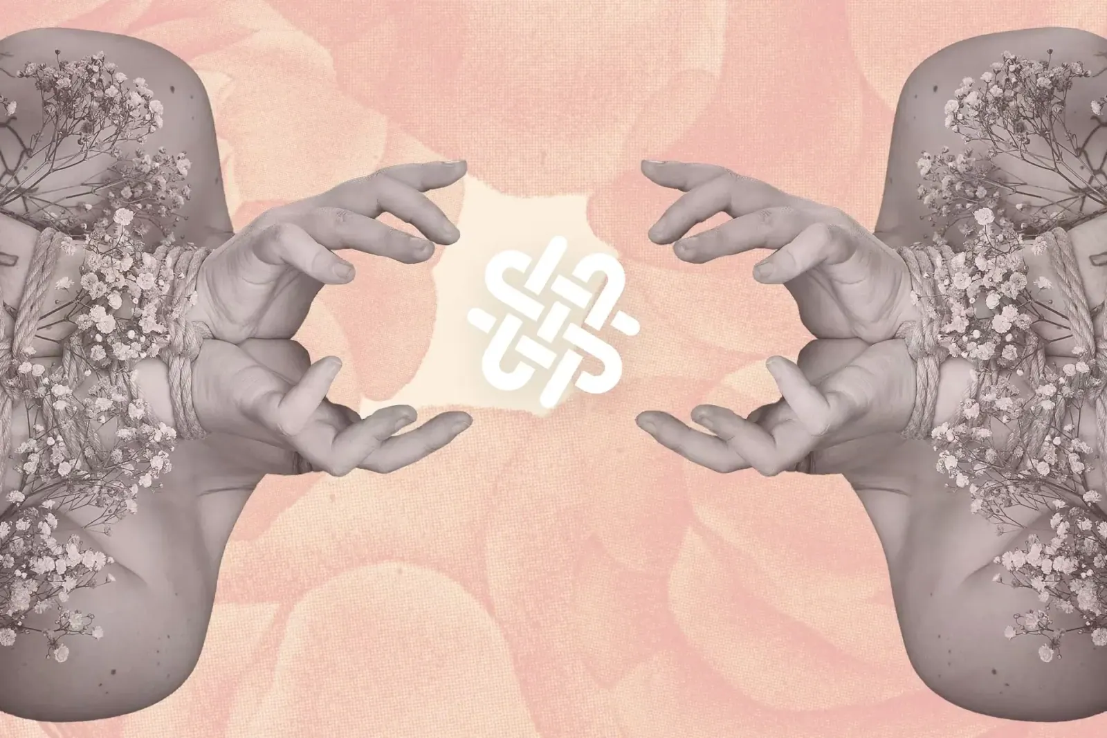 Who We Are: The Shibari Study Team