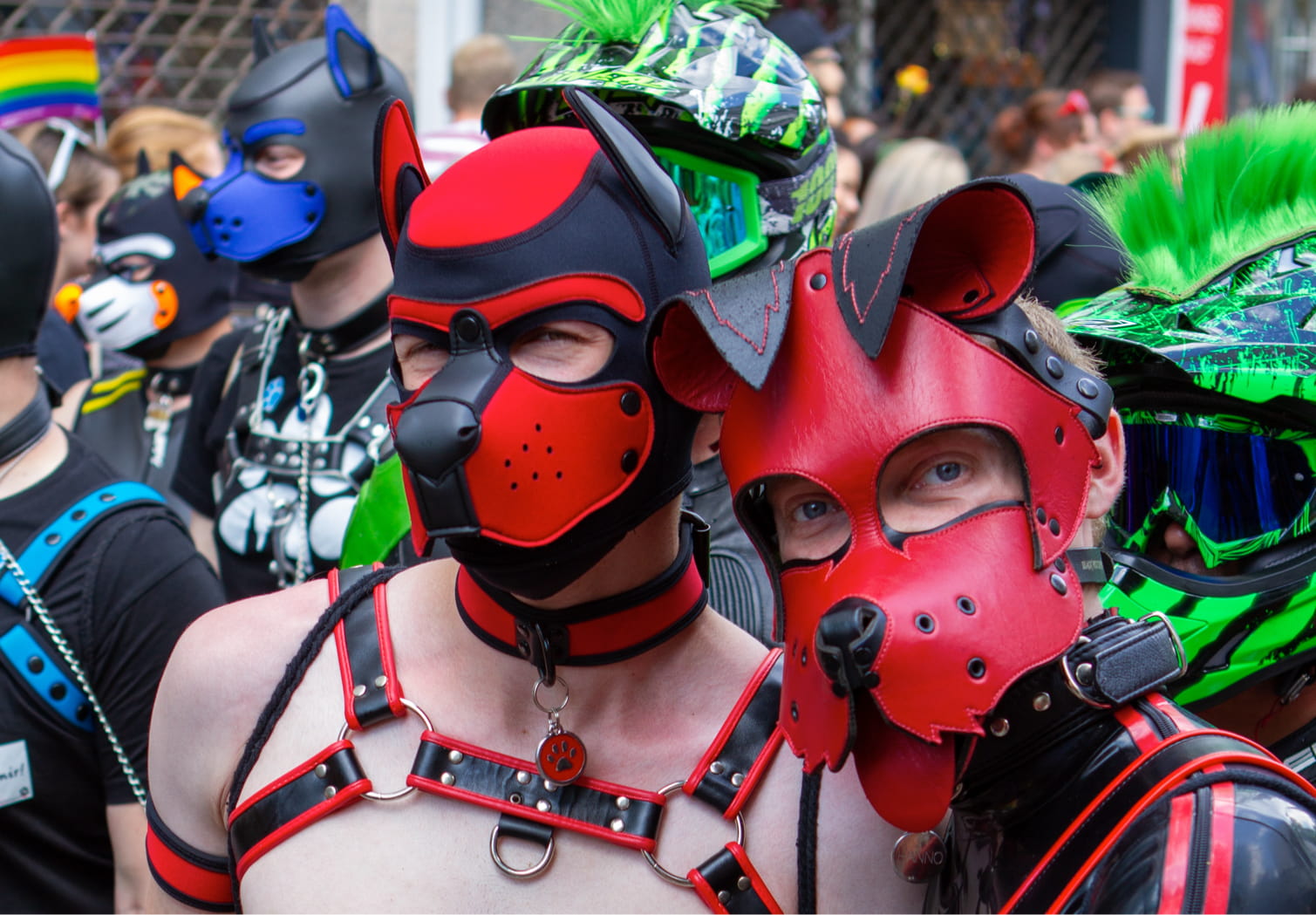 Torture Garden | Pup Play and Identity: Why It Resonates With So Many People